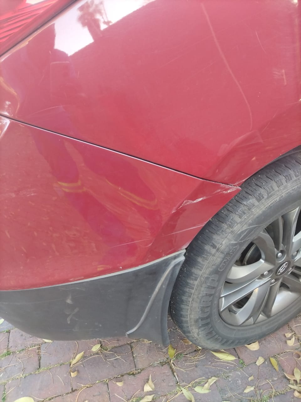 Paint Correction Before